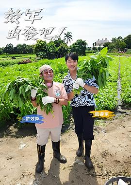 你被篡改了AV青草无码